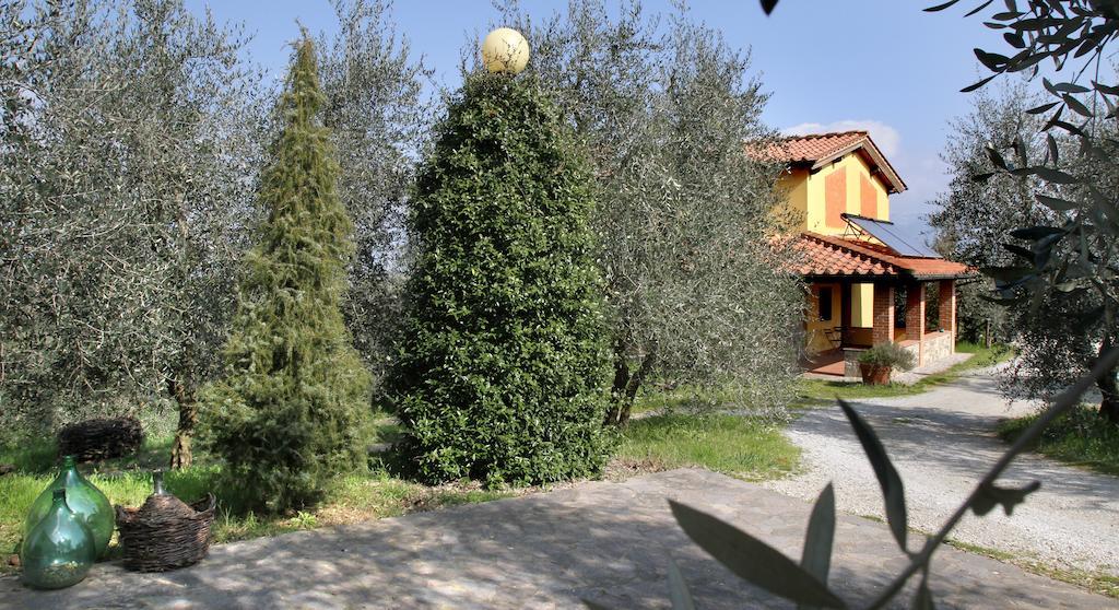 La Locanda Cuccuini Cavriglia Dış mekan fotoğraf